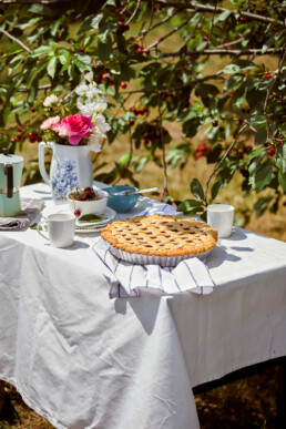 Homemade cherry pie in the garden